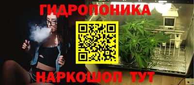 соль курить ск Пугачёв