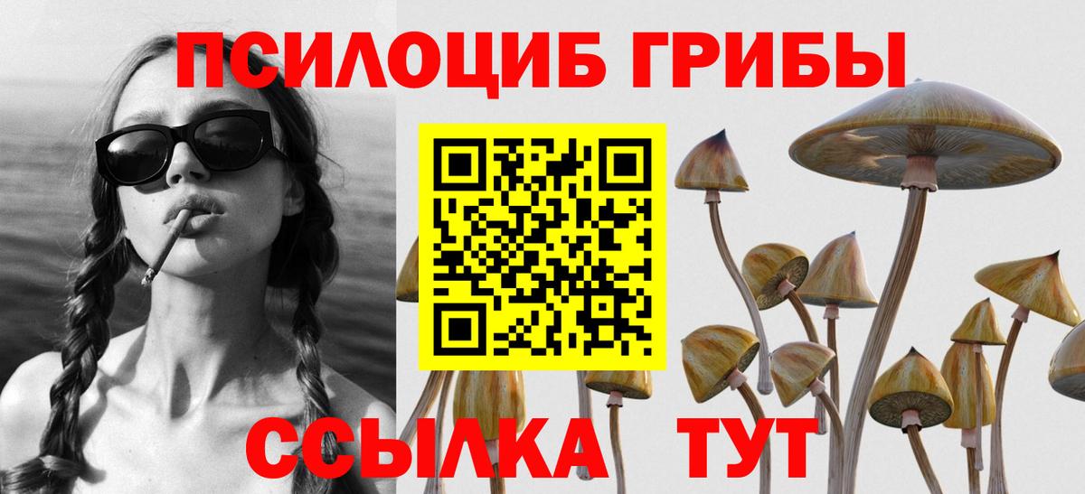 Псилоцибиновые грибы Cubensis Партизанск