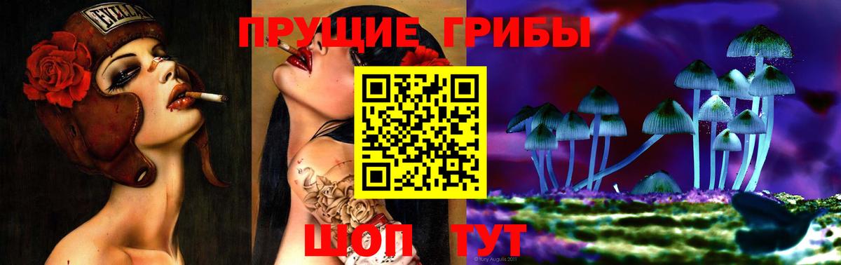 как найти наркотики  Псилоцибиновые грибы мухоморы  Вход с VPN  Партизанск 